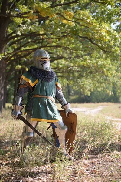 Μεσαιωνικός Ιππότης Πανοπλία Στο Δάσος — Φωτογραφία Αρχείου