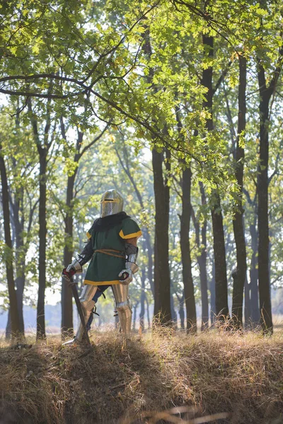 Cavaliere Medievale Armatura Nel Bosco — Foto Stock