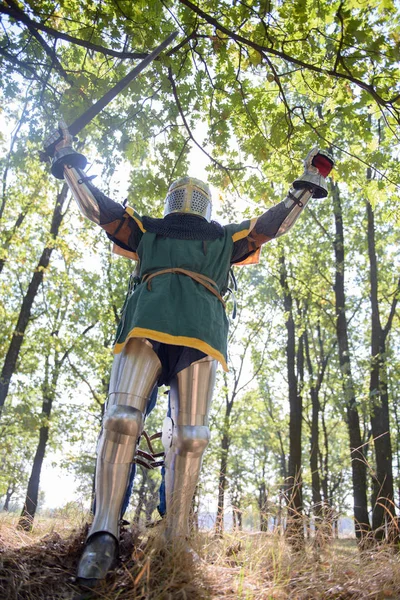 中世纪骑士在森林中庆祝胜利 — 图库照片