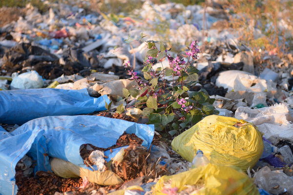 Garbage dump on a natural background 