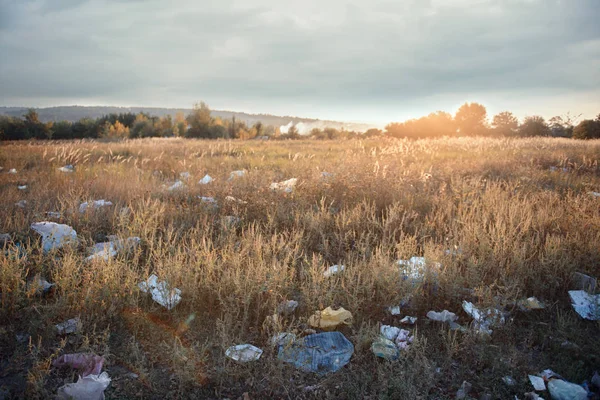 Vuilnisbelt Een Natuurlijke Achtergrond — Stockfoto