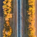 Herfst weg - bovenaanzicht. Schoonheid van de natuur