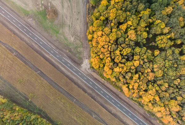 Herbstwald Und Straße Blick Von Oben — kostenloses Stockfoto
