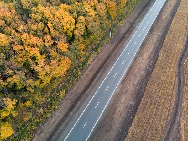 Weg Den Herbst Schönheit Der Natur — Stockfoto