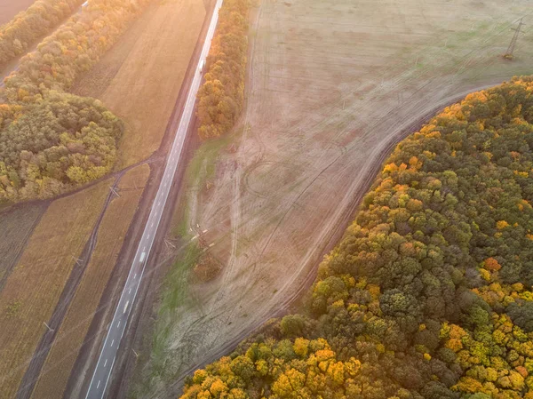 Herbstwald Und Straße Schönheit Der Natur — Stockfoto