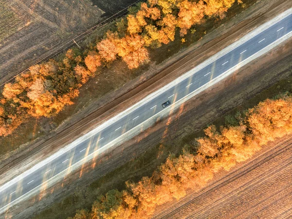 Silnice Podzim Krása Přírody — Stock fotografie zdarma