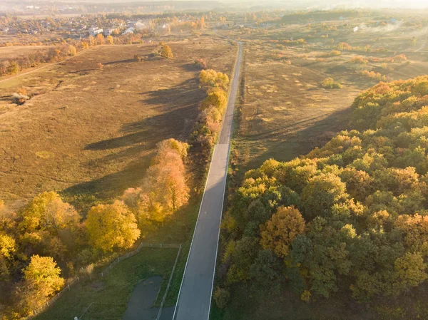 Hösten Väg Park Naturens Skönhet — Stockfoto