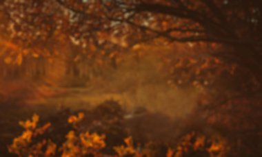 Sonbahar arka plan bulanık. Doğa