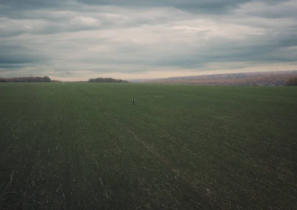 Die Figur Eines Einsamen Mädchens Auf Dem Feld — Stockfoto