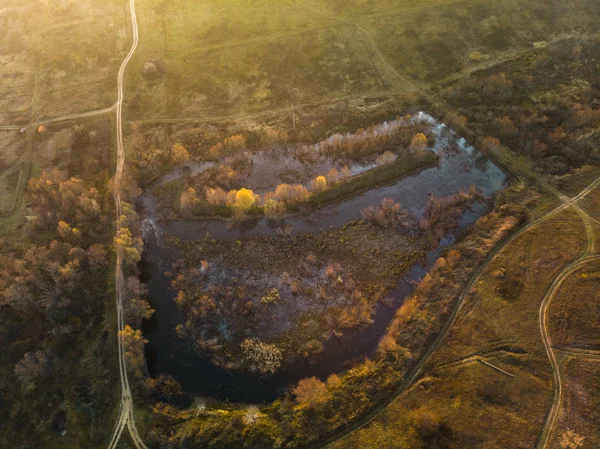 Iazul Copacii Toamnă Vedere Ochilor Unei Păsări — Fotografie de stoc gratuită