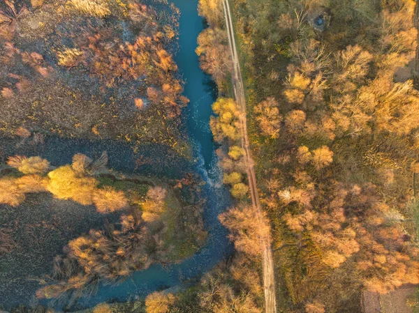 River and autumn trees - top view