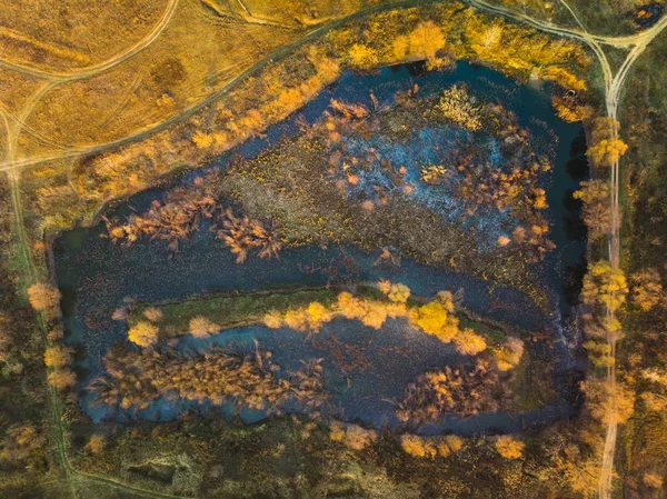 Laghetto Alberi Autunnali Vista Dall Alto — Foto Stock