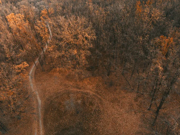 Nopember Hutan Pemandangan Dari Atas Akhir Musim Gugur — Stok Foto