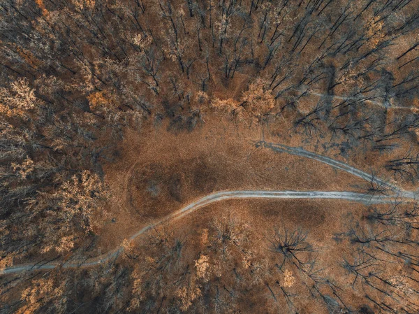 Hutan Musim Gugur Pemandangan Atas — Stok Foto