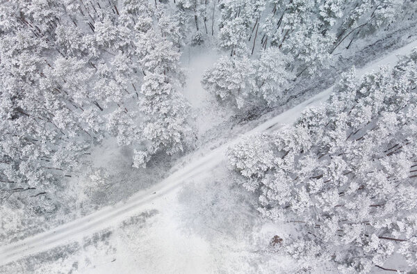 Winter snow - covered forest - a bird's eye view — Stock Image Winter Snow Covered Forest Bird Eye View — Stock Photo, Image