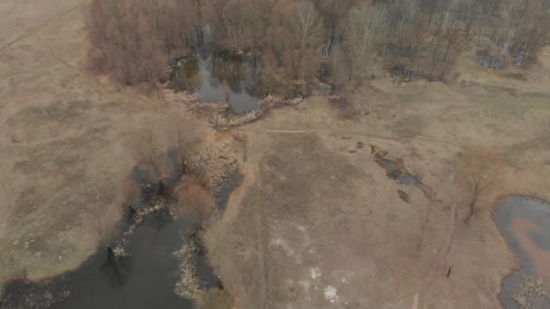 Luchtfoto Van Spring River Maart — Stockvideo