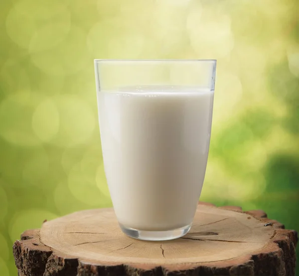 Стакан Молока Пне Естественном Фоне — стоковое фото