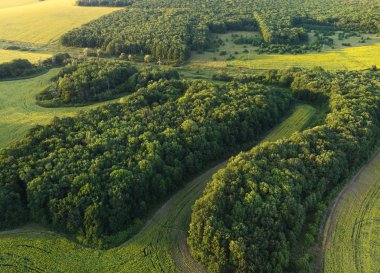 Kuş bakışı güzel ormanlar ve tarlalar