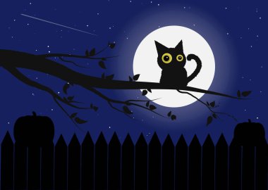 Gece arkaplanındaki kedi silueti. vektör illüstrasyonu