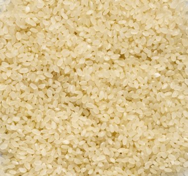 Pirinç yakın çekim büyür - üst görünüm