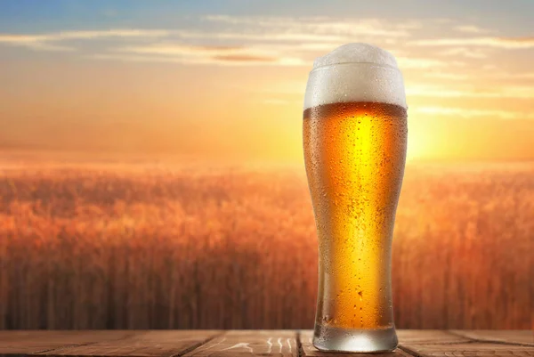 Glass of beer against the background of a wheat field