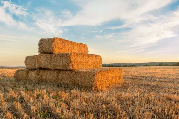 Haystacks Campo Atardecer — Foto de Stock