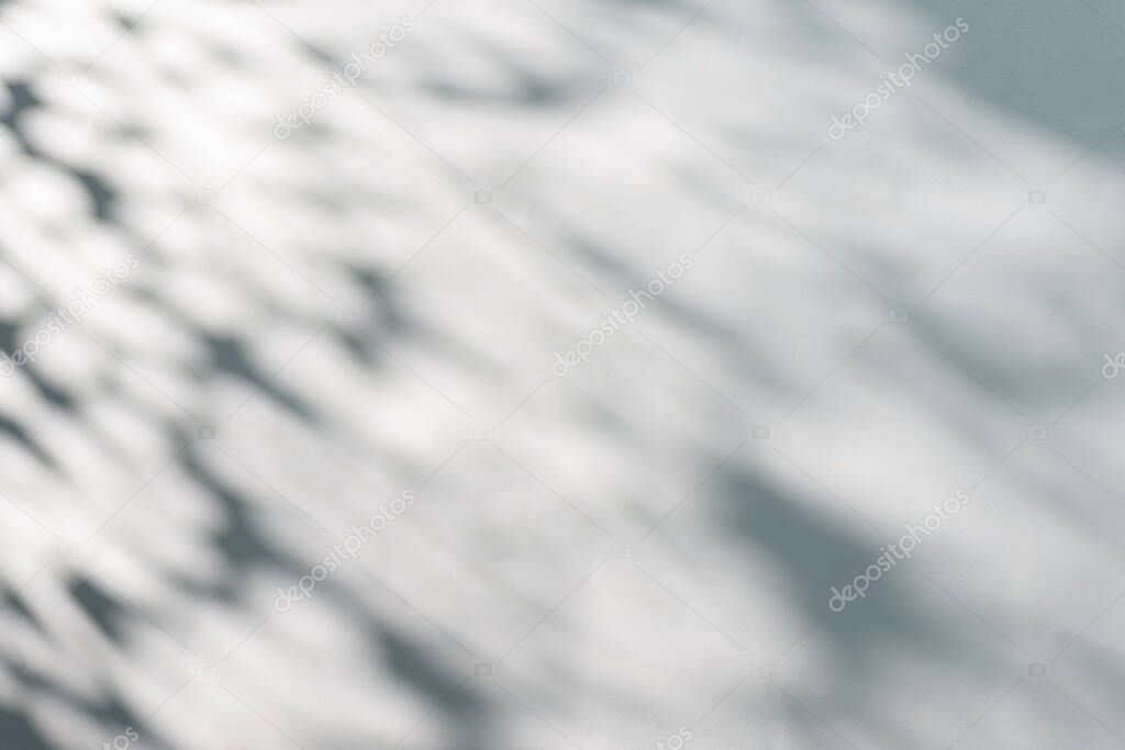 Natural shadows texture on gray background