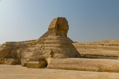 Giza şehrinde Sfenks. Mısır
