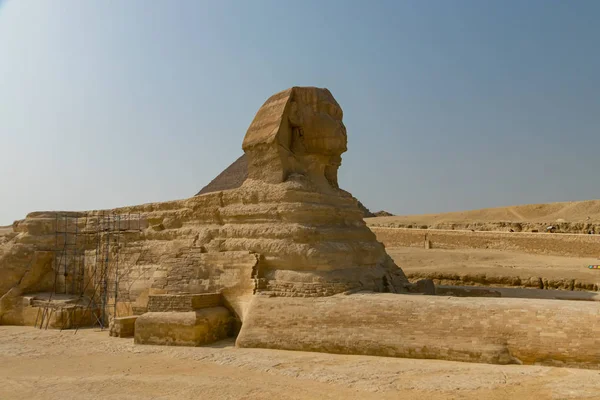 Giza şehrinde Sfenks. Mısır — Stok fotoğraf