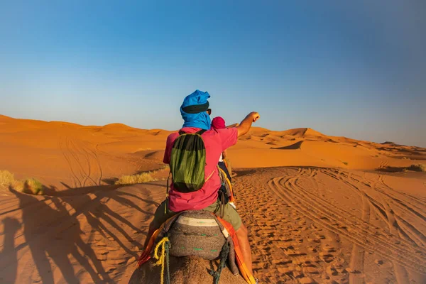 Travesia en camello por el desierto del Sahara. Jestem Erg Chebbi. Merz Przewodniczący — Zdjęcie stockowe
