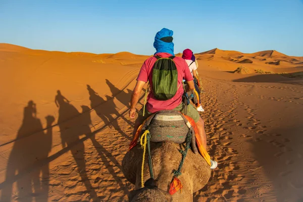Travesia en camello por el desierto del Sahara. Erg Chebbi. Merz — Stok fotoğraf