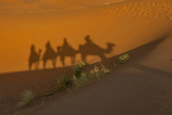 Sombras en la arena de la gente en un camello a través del Sahara dese —  Fotos de Stock