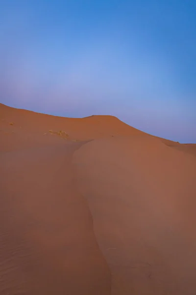 サハラ砂漠の砂丘。エルグ・チェビ・メルツーガ・モロッコ — ストック写真