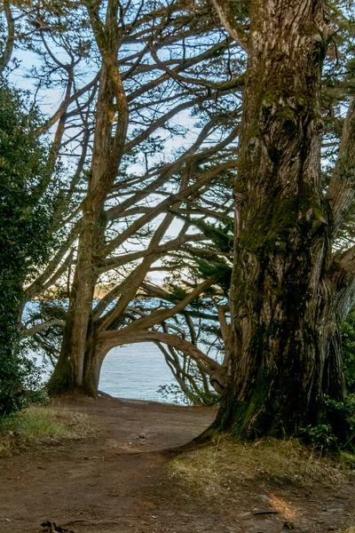 าบนเกาะ Bender ในอ Morbihan งเศส — ภาพถ่ายสต็อก