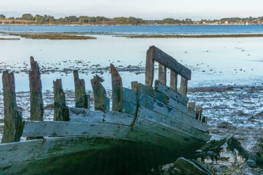 Morbihan Körfezi 'ndeki Bender Adası' ndaki tekne mezarlığı. Fransa.