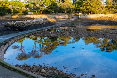 Morbihan Körfezi 'ndeki Bender Adası' na giden yol. Fransa.