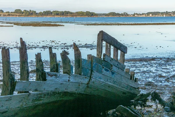 Morbihan Körfezi 'ndeki Bender Adası' ndaki tekne mezarlığı. Fransa.