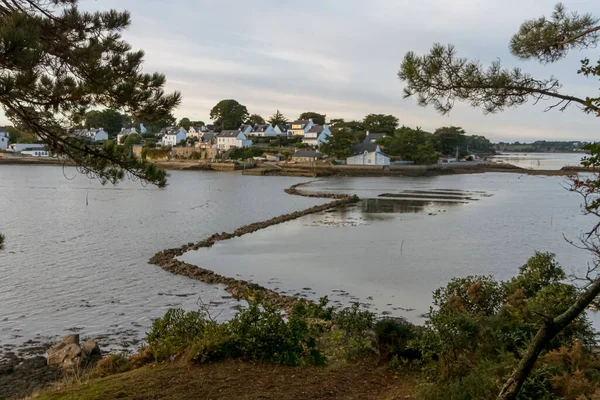 Granjas Ostras Isla Bender Golfo Morbihan Francia — Foto de Stock