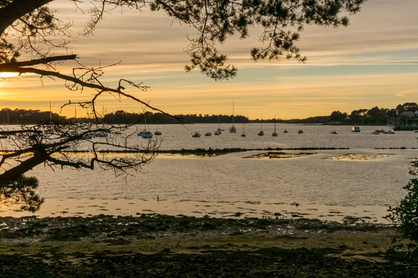 Barcos Isla Bender Golfo Morbihan Francia — Foto de Stock