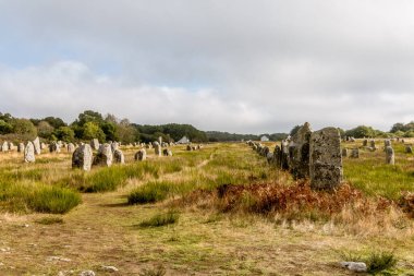 Brittany bölgesindeki Carnac, Menhir de Carnac hizaları. Fransa.