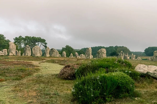 Alineaciones Carnac Menhir Carnac Región Bretaña Francia — Foto de Stock