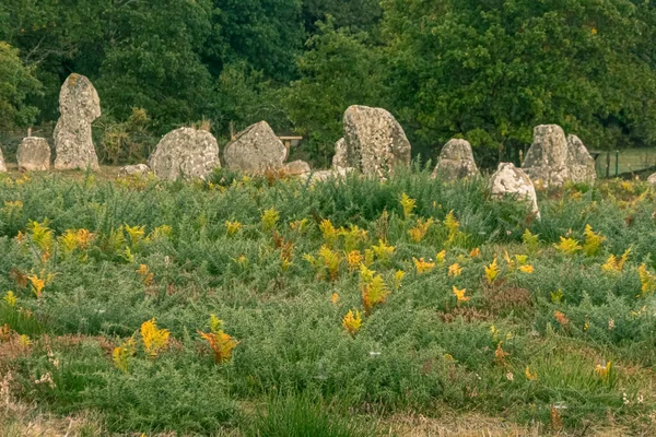 Alineaciones Carnac Menhir Carnac Región Bretaña Francia — Foto de Stock