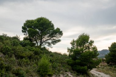 Murcia 'daki Mayes Barajı' nın manzarası ve çevresi. İspanya.