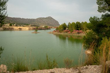 Murcia 'daki Mumyalama del Mayes' de lekenliler çiçek açıyor. İspanya
