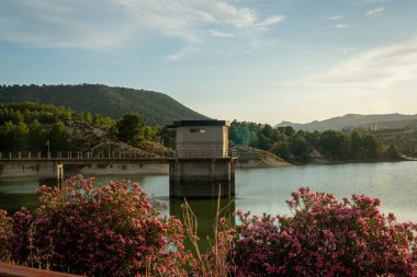 Murcia 'daki Mumyalama del Mayes' de lekenliler çiçek açıyor. İspanya