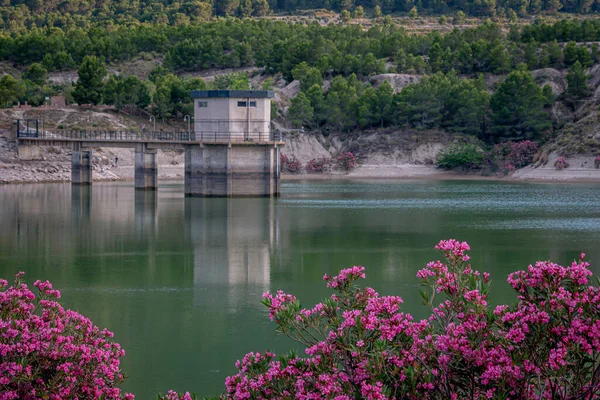 Пейзаж Околиці Водосховища Мейєс Мурсії Іспанія — стокове фото