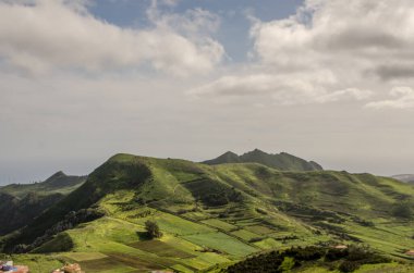 Santa Cruz de Tenerife 'deki Anaga Kırsal Parkı manzarası. Kanarya Adaları. İspanya.