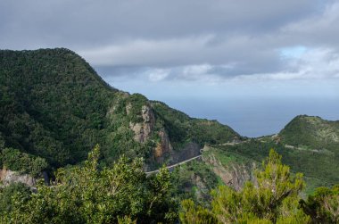 Santa Cruz de Tenerife 'deki Anaga Kırsal Parkı manzarası. Kanarya Adaları. İspanya.