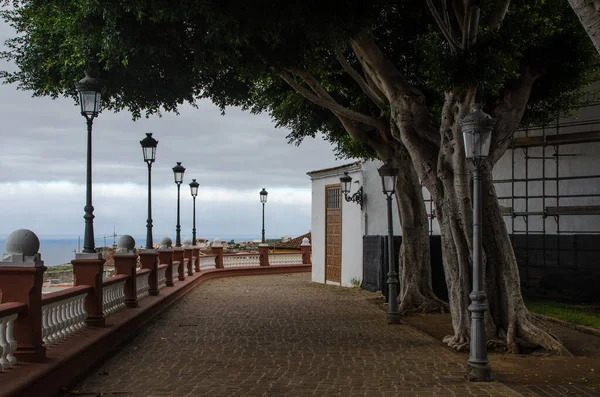 Ocak 2015 Icod Los Vinos Yürüyüş Tenerife Spanya — Stok fotoğraf