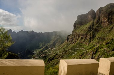 Masca, Kanarya Adaları 'nda Buenavista del Norte de Tenerife belediyesine bağlı bir şehirdir. İspanya